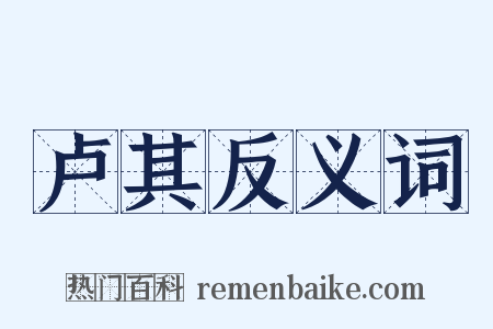 卢其反义词是什么意思的图片